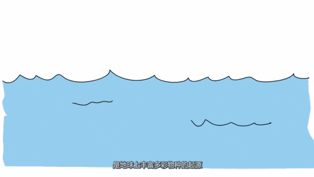她来自滨海小城，却有着比海更大的梦想