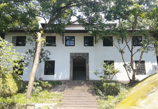【美丽中国长江行】大树参天白鹭翔集 重庆这所中学因景色太美成旅游胜地丨微视频