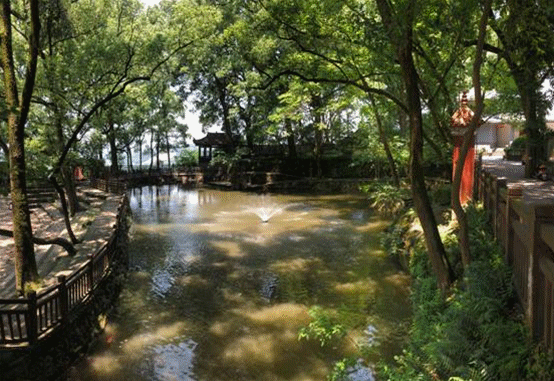 【美丽中国长江行】大树参天白鹭翔集 重庆这所中学因景色太美成旅游胜地丨微视频
