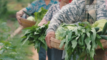 人民的江山｜不懈的追求
