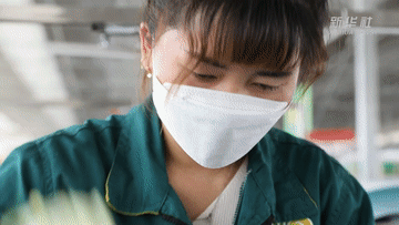 奋斗者·正青春｜“90后护花使者” 让黄土高原变最美花田