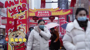 品类足 年味浓 各地年货市场供销两旺