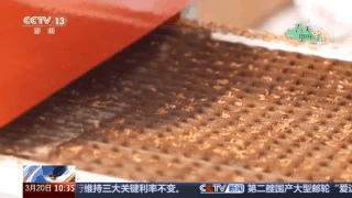 不负农时不负春 春耕生产按下“加速键”