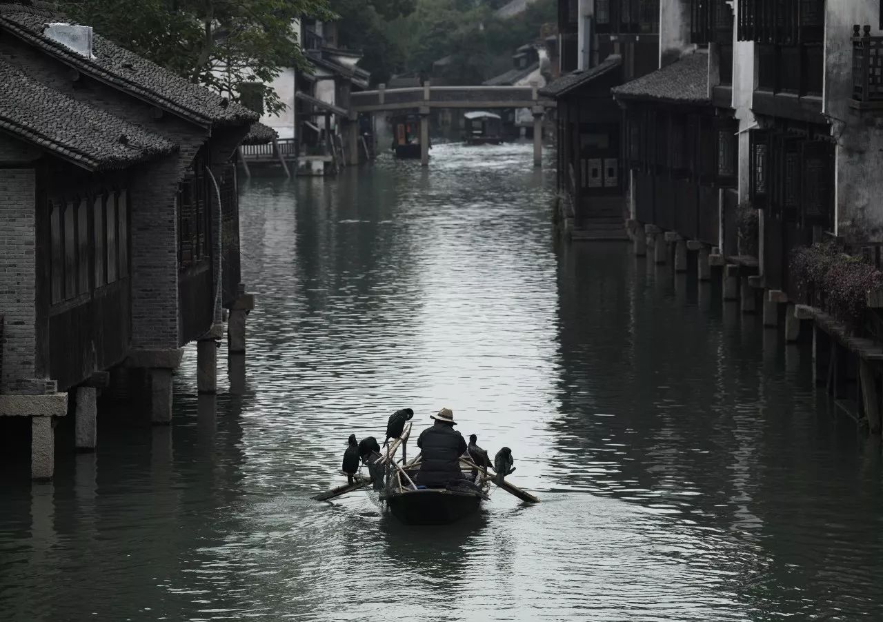 世界互联网大会又来了！全球网友都在@乌镇