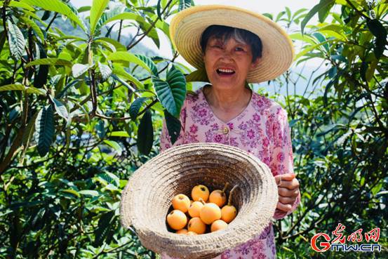 【美丽中国长江行】植绿又增收，云阳“三带”景观释放生态红利