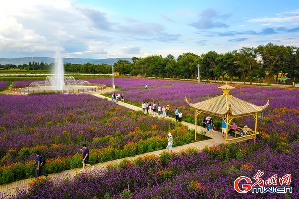 【塞上宁夏谱新篇】宁夏固原市的“后花园”：刘姥姥枢庄