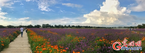 【塞上宁夏谱新篇】宁夏固原市的“后花园”：刘姥姥枢庄