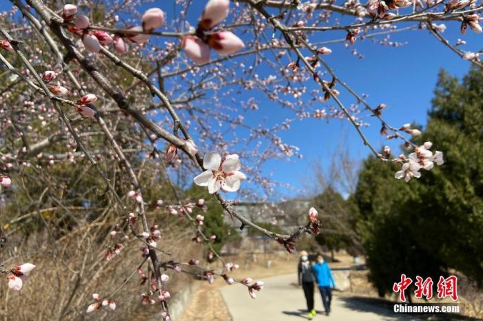 就业、蓝天、医保……各地省级两会亮民生成绩单