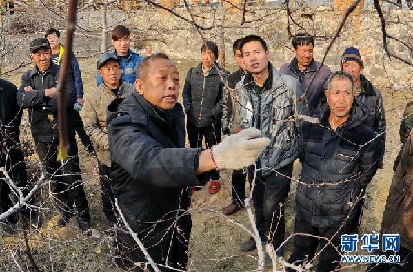 致敬！习近平在脱贫攻坚大会上提到这些名字