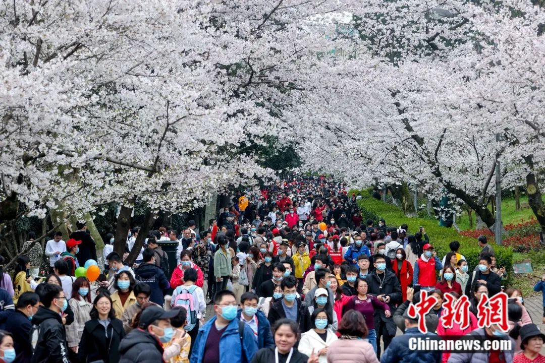 英雄湖北，“C位”复出！