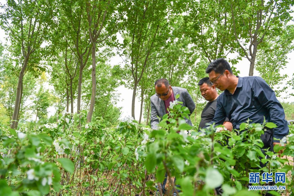 始终成为全国人民的主心骨——习近平总书记在庆祝中国共产党成立100周年大会上的重要讲话为党的建设新的伟大工程指明方向