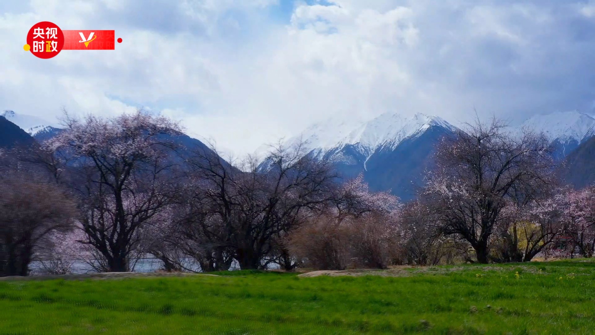 时政现场评丨跟随总书记的脚步 在林芝看雪域山川与小村故事