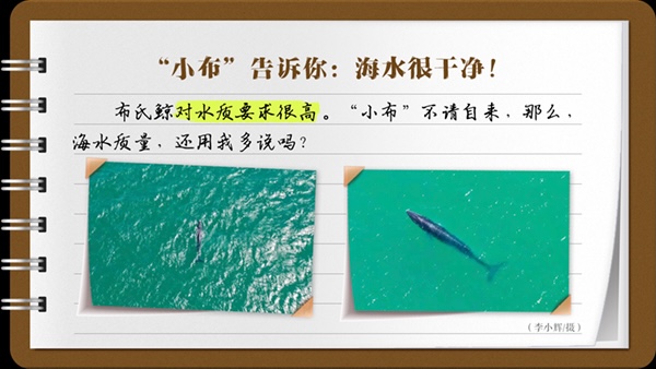 【有声手账】说说我家的小康故事⑨：“小布”告诉你：海水很干净！