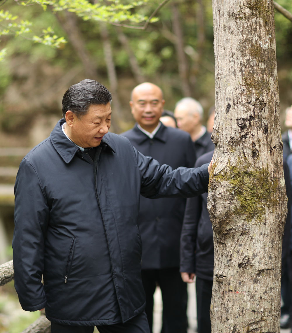 习近平带领百年大党奋进新征程