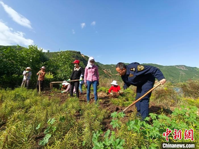 甘肃深闺特产“出山记”：线上线下呈独特优势