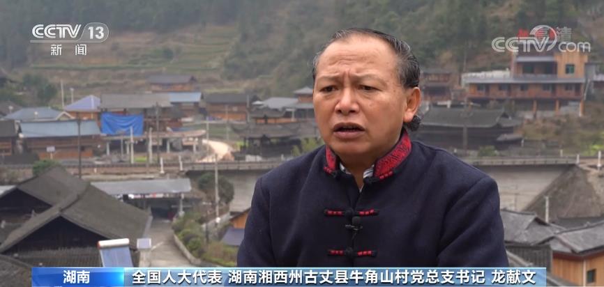 【履职一年间】深山苗寨变成“金窝窝” “茶旅融合”助力村民就业增收