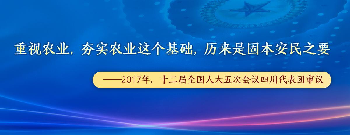 学习进行时丨习近平那些广为流传的“两会金句”