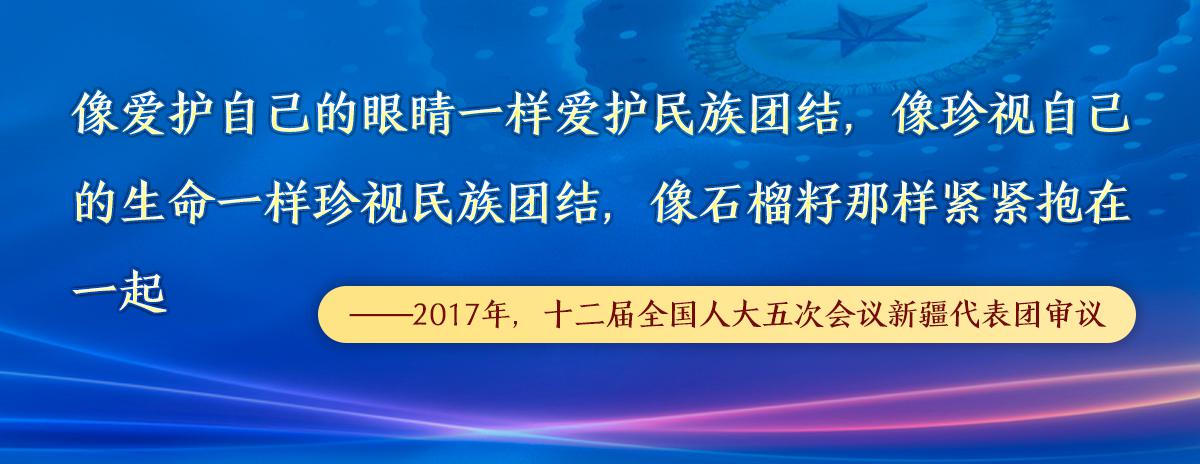 学习进行时丨习近平那些广为流传的“两会金句”