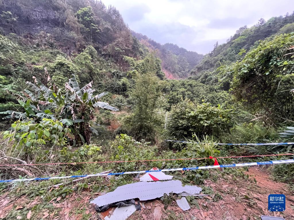 搜寻，与风雨赛跑——广西藤县空难坠机现场见闻