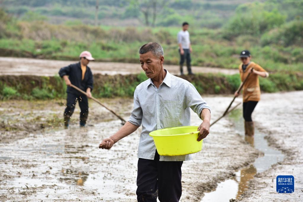 清明将至农事忙