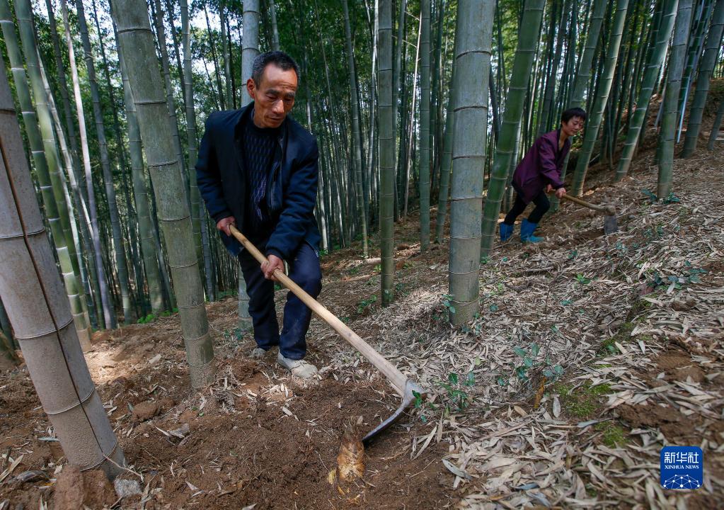 清明将至农事忙