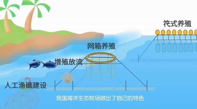 【晒晒咱的国之重器29】全域型海洋生态牧场:走向深蓝的巨型“粮仓” 【晒晒咱的国之重器29】全域型海洋生态牧场:走向深蓝的巨型“粮仓”