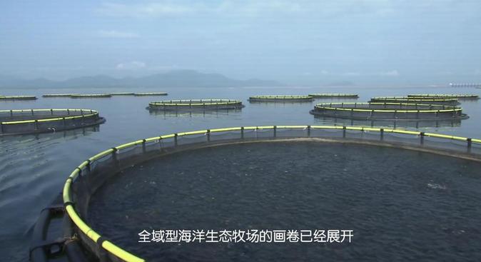 【晒晒咱的国之重器29】全域型海洋生态牧场:走向深蓝的巨型“粮仓” 【晒晒咱的国之重器29】全域型海洋生态牧场:走向深蓝的巨型“粮仓”