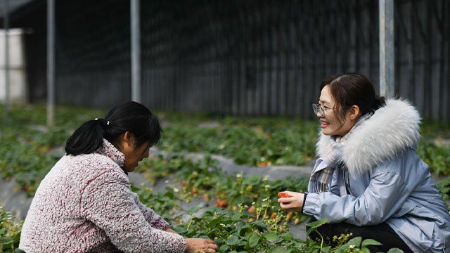 微视频丨【奋斗者 正青春⑧】王萌萌：把根扎入江淮分水岭的“萌书记”