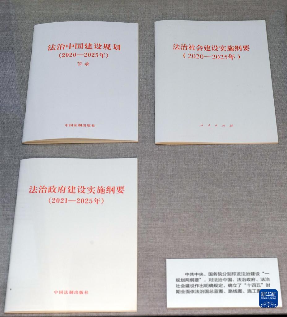 筑牢民族复兴的坚强保障——从“奋进新时代”主题成就展看新时代政治建设