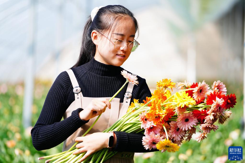 山东莒县：鲜切花铺就乡村振兴路