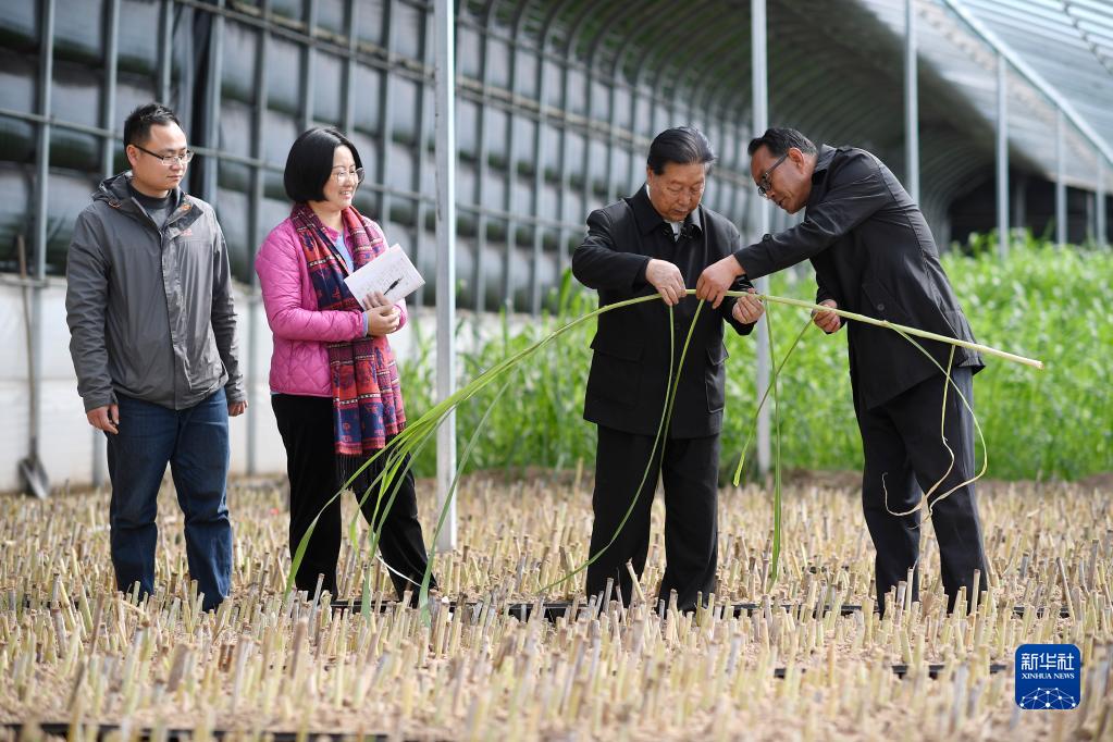 新时代中国调研行·非凡十年看优势丨下好全国发展的一盘棋——从实施区域协调发展战略看中国特色社会主义制度优势