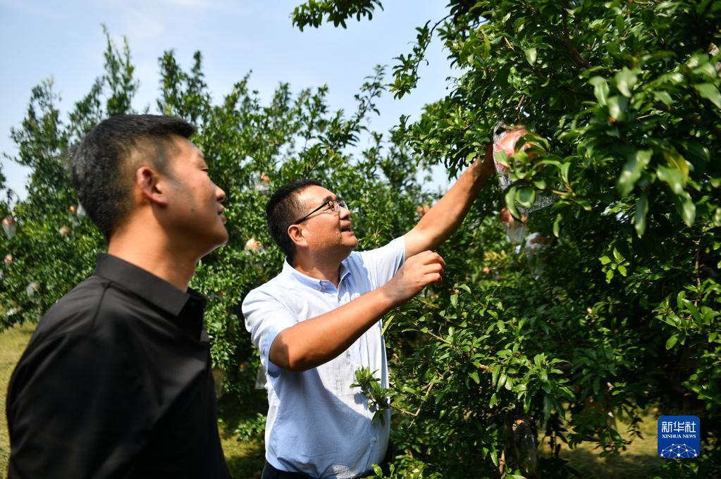 钟华论：我将无我，不负人民