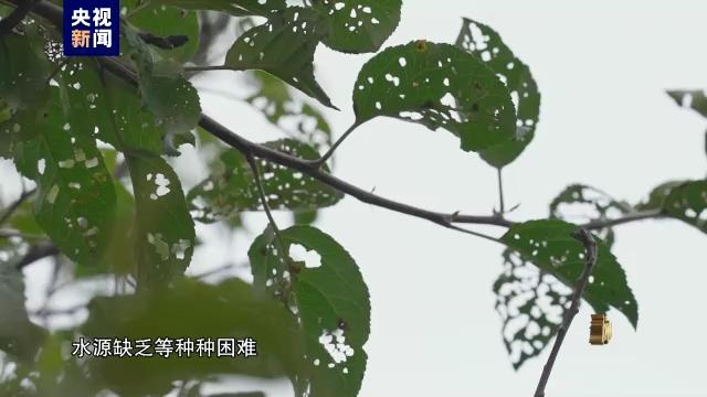 电视专题片《永远吹冲锋号》第二集《政治监督》