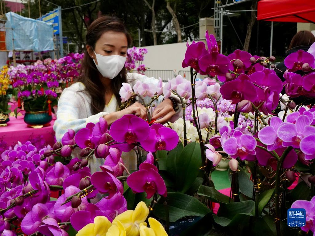 年宵花市又一春