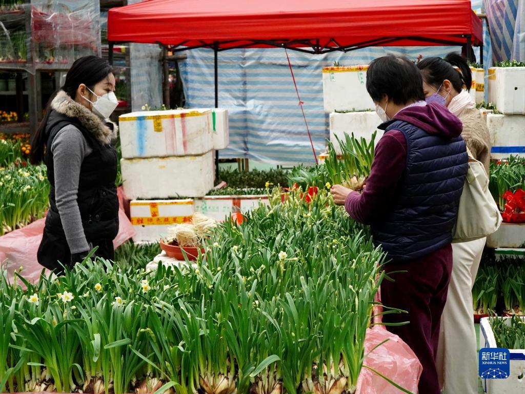 年宵花市又一春