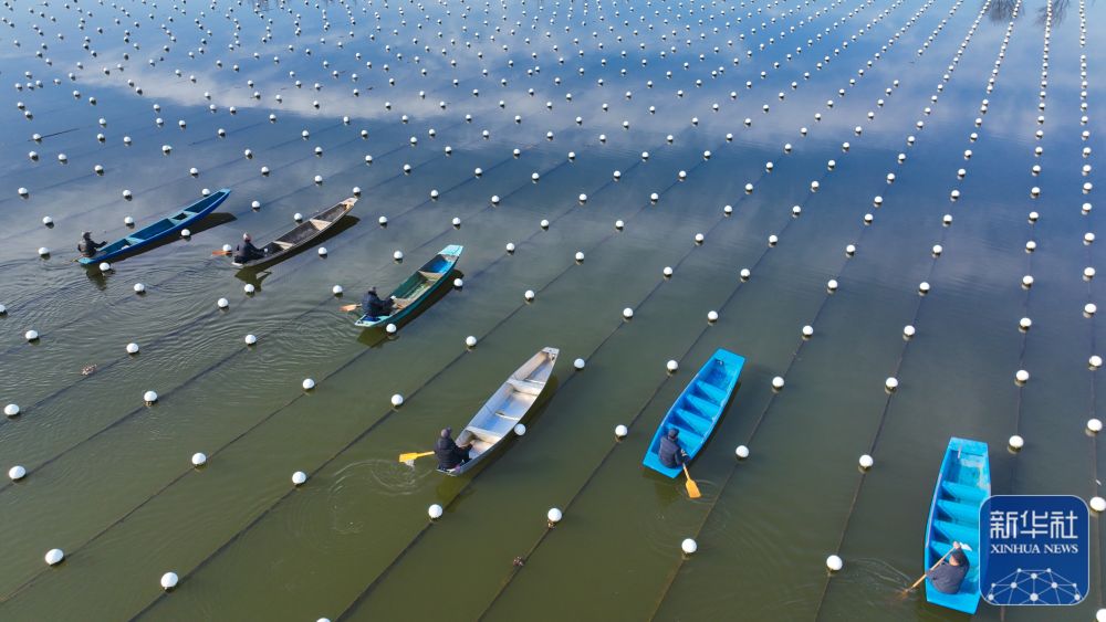 浙江德清：水上春耕备耕忙