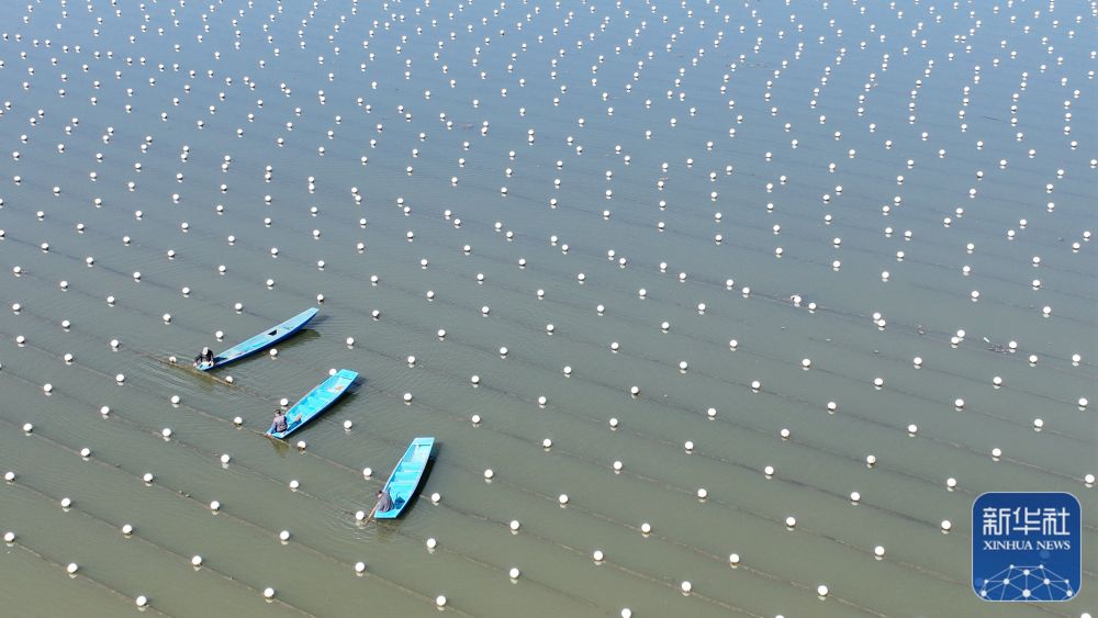 浙江德清：水上春耕备耕忙