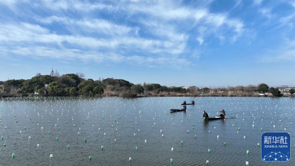 浙江德清：水上春耕备耕忙