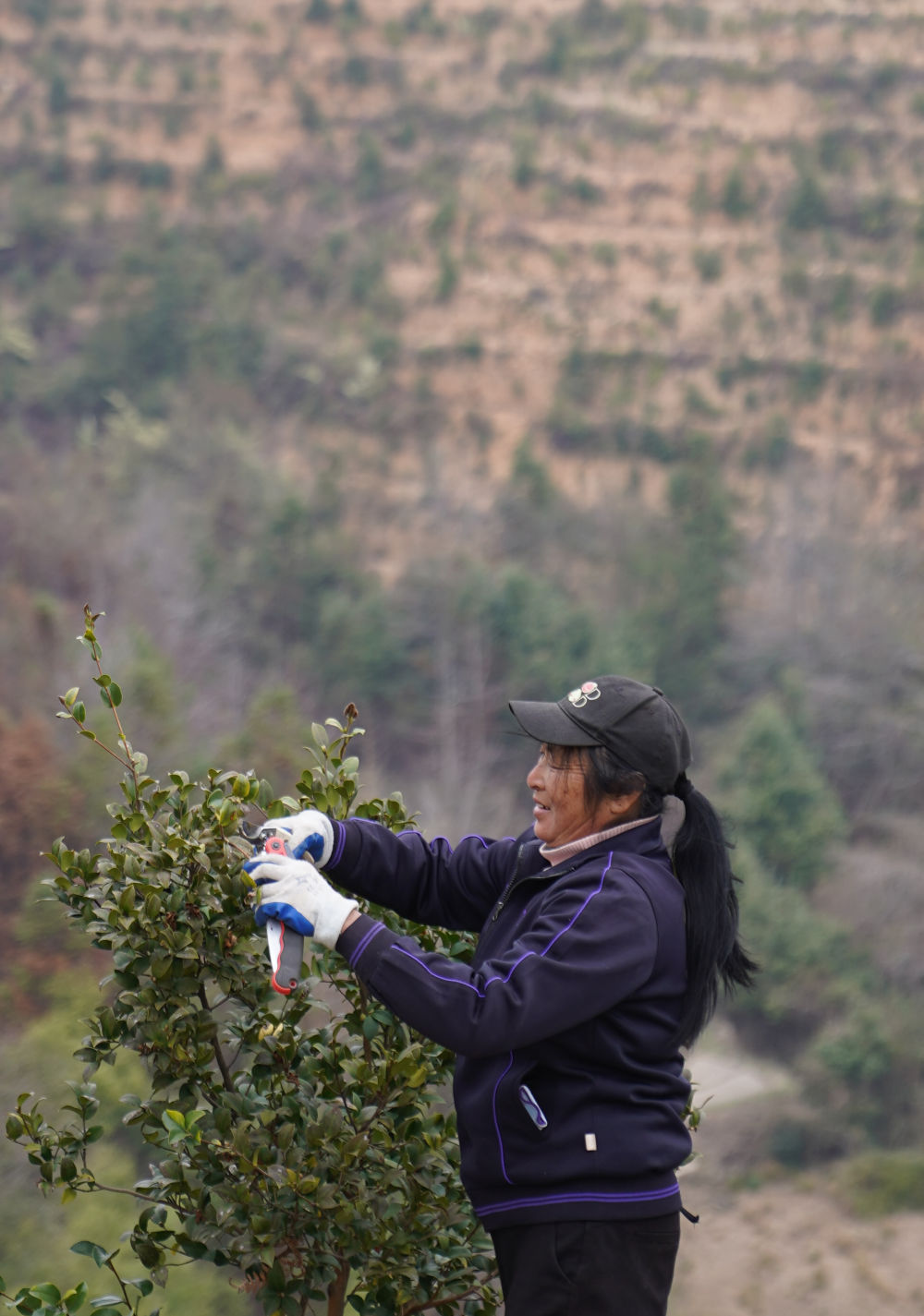 十年两会·温暖记忆｜“讲不完的油茶树故事，道不尽的鱼水情深”