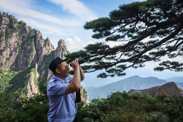 【笃行不怠 不负人民】音频海报丨胡晓春代表：奉献光和热，当好黄山守松人