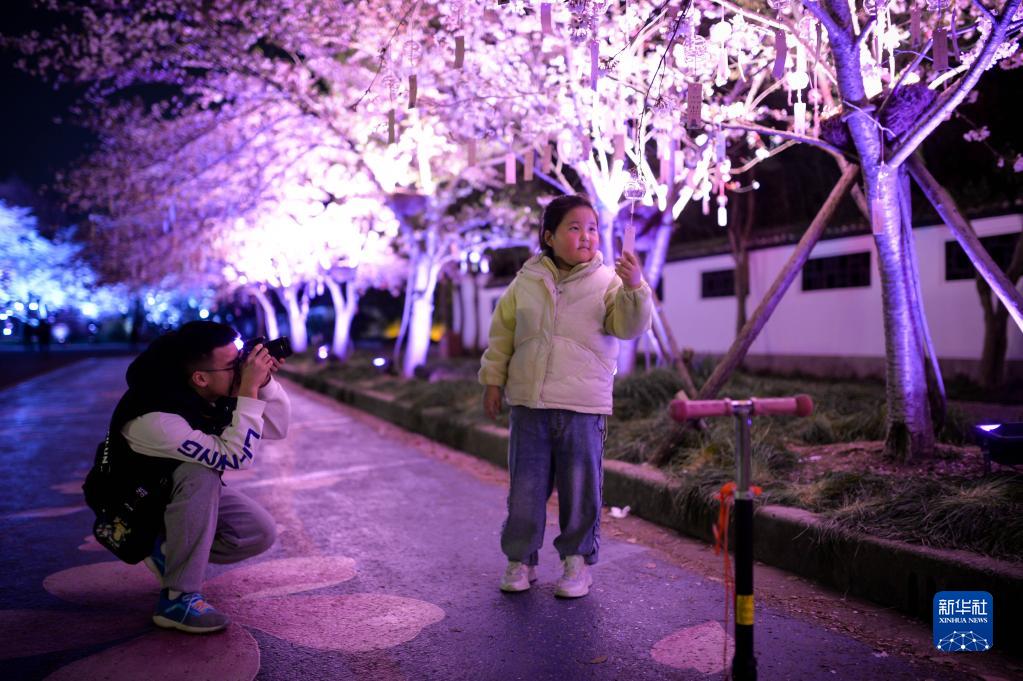 江苏无锡：浪漫夜樱醉游人