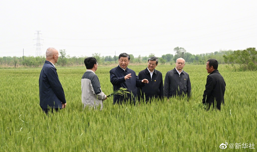 习近平在沧州市考察调研