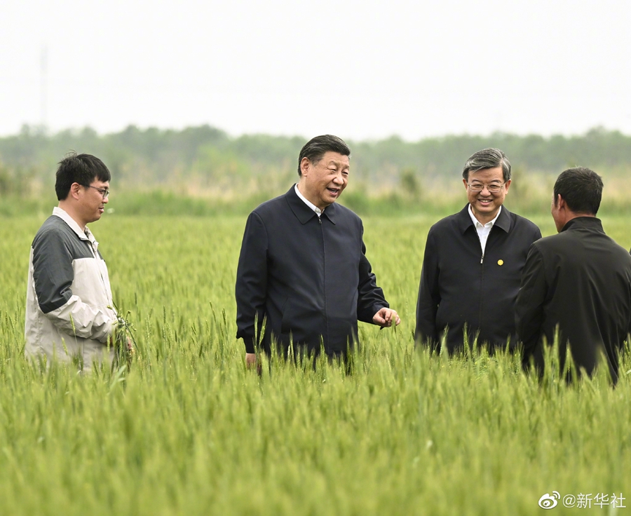 习近平在沧州市考察调研