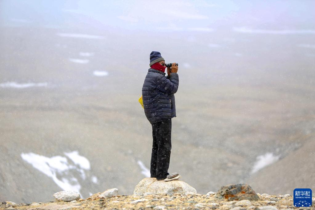 国道之行 从雪山奔向大海丨风雪雅江源