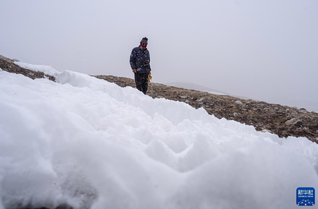 国道之行 从雪山奔向大海丨风雪雅江源