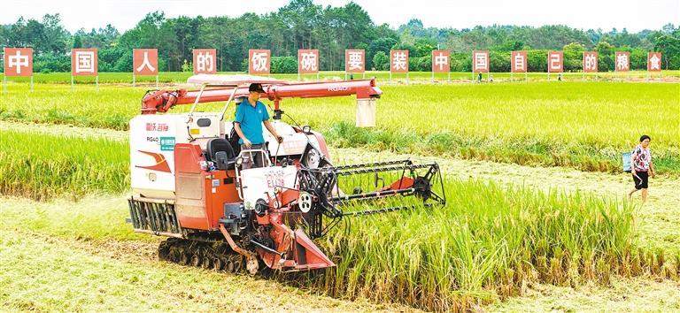 【践行习近平经济思想调研行】强农兴川