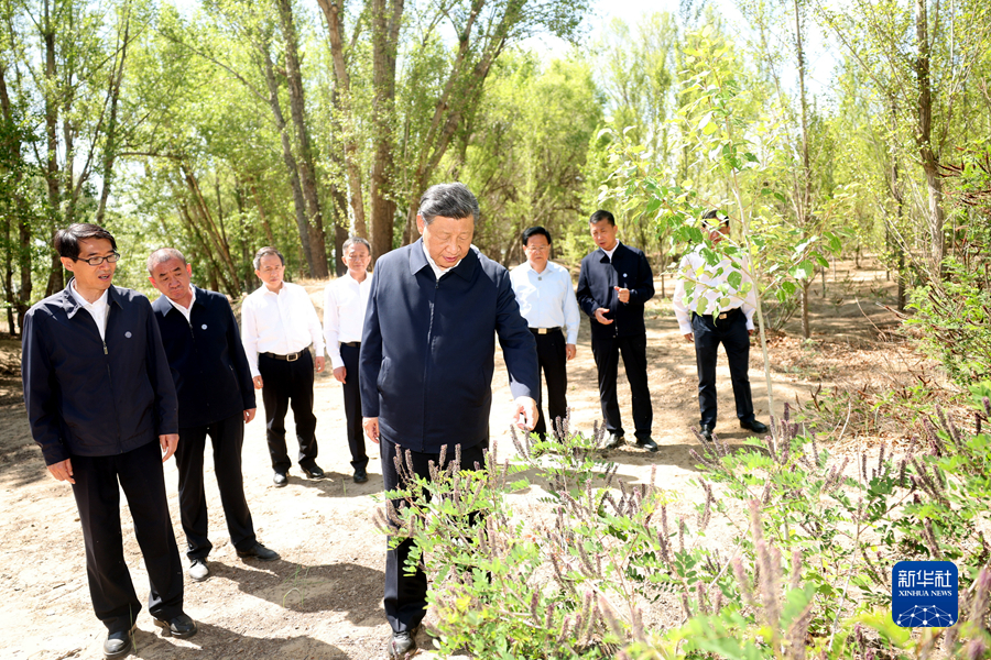 习近平在内蒙古巴彦淖尔考察并主持召开加强荒漠化综合防治和推进“三北”等重点生态工程建设座谈会