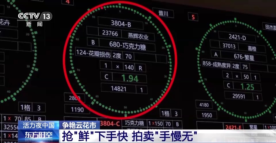 活力夜中国丨 探寻一朵鲜花背后的科技力量