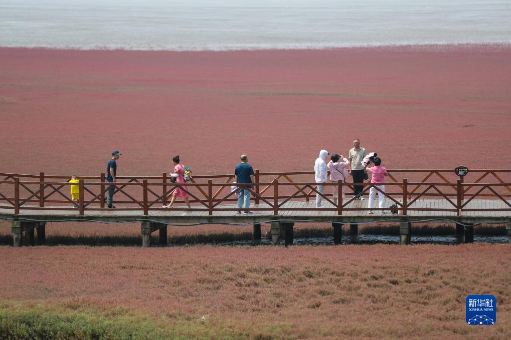 夏游红海滩