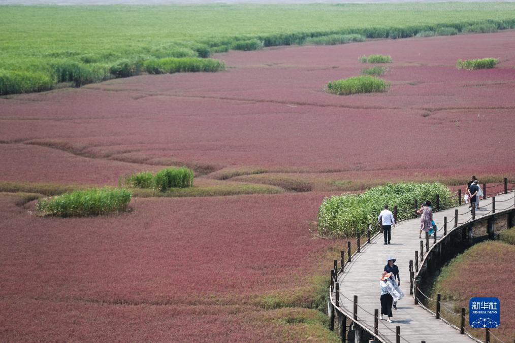 夏游红海滩